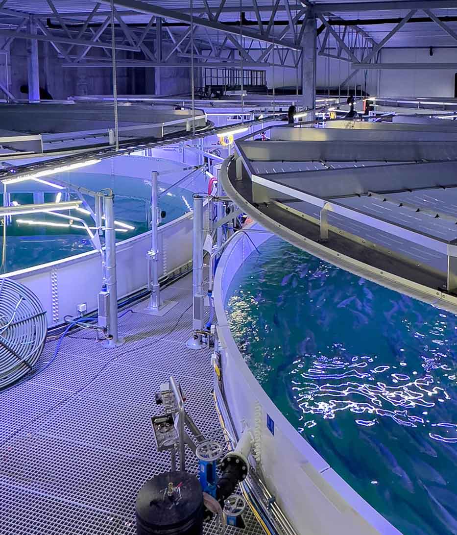 Balmoral aquaculture tanks